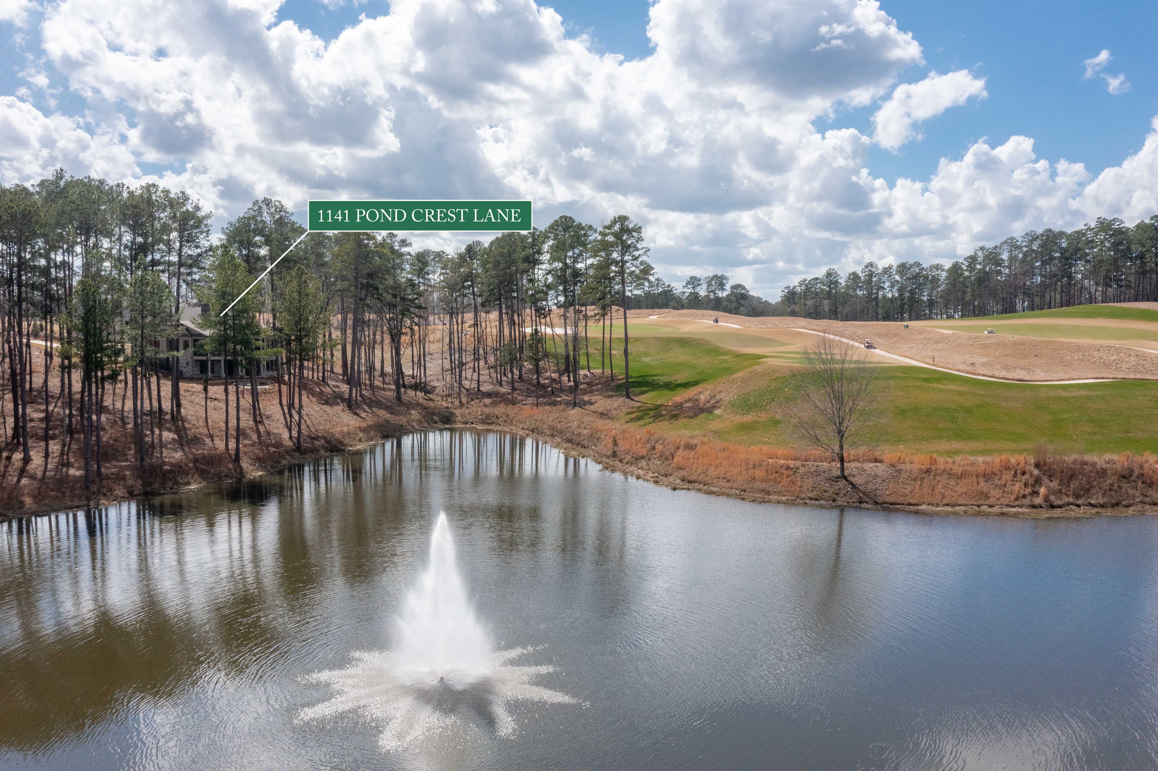 1141 Pond Crest Lane image 56